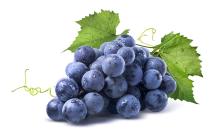 images/categorieimages/Blauwe druiven.jpg